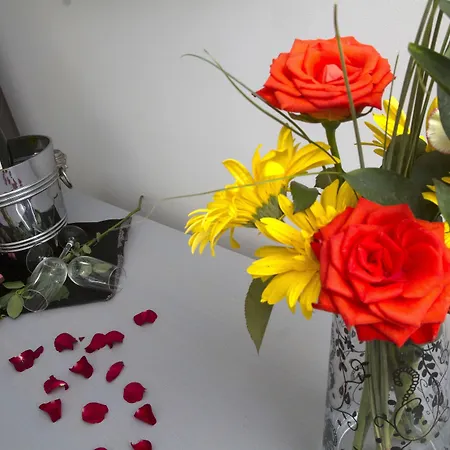 Hotel Black Tulip - Porto Gaia-3