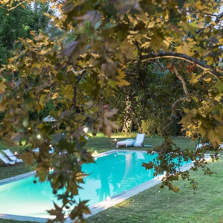 La Barchessa di Villa Pisani-3