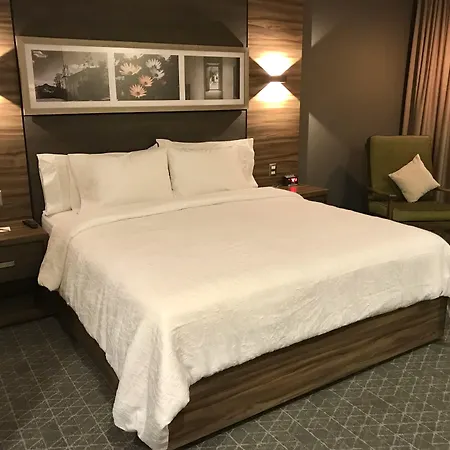 Hilton Garden Inn Aguascalientes-3