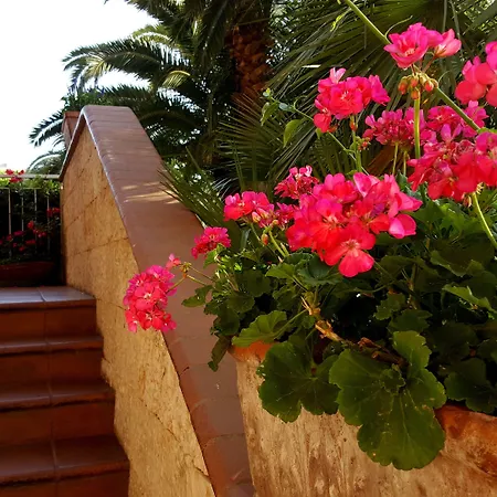 Residence Orchidea-2