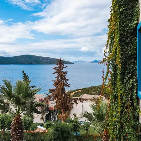Bodrum Holiday Resort & Spa-2