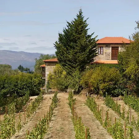 Casa De Sao Miguel Douro-3