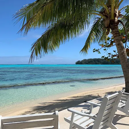Moorea Island Beach Hotel-3