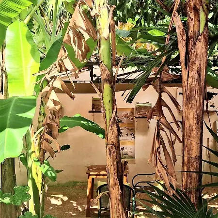 Casa Don Diego-2