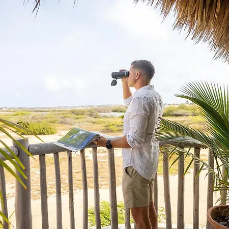 Boardwalk Boutique Hotel Aruba - Adults Only-2