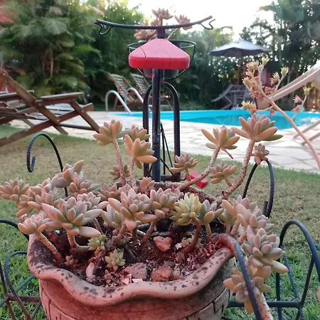 Pousada Jardim do Éden-3