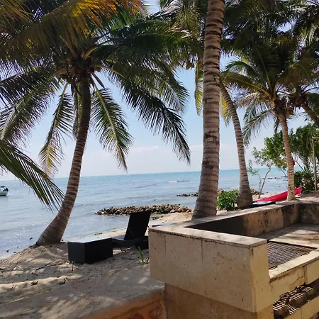 Alea Tulum-3
