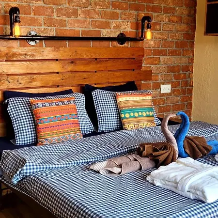 White Rabbit Guest House-2