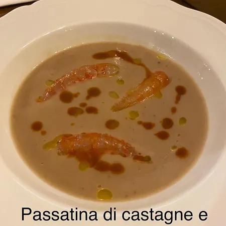 Villa Orsini - A Retreat in Pisa - Food&Relax-2