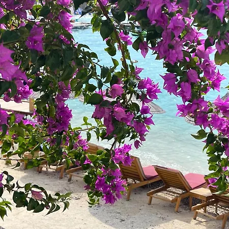 Manta Hotel-3