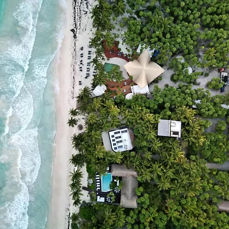 Olas Tulum-2