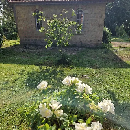 Château de Bayssan-3