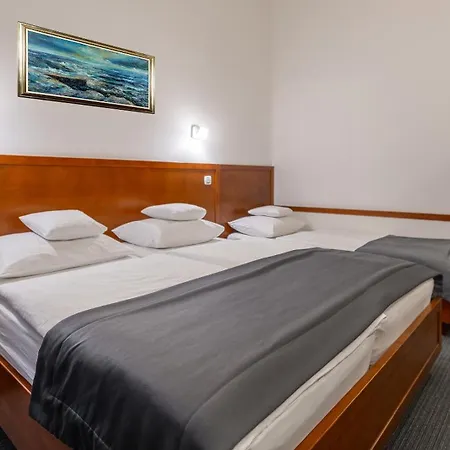 Best Western Airport Hotel Stella-2