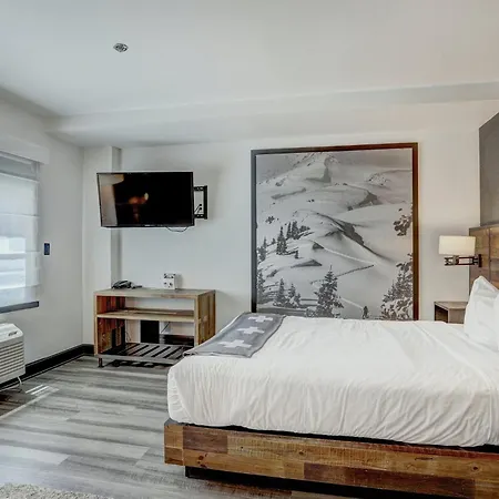 Gravity Haus Breckenridge-3