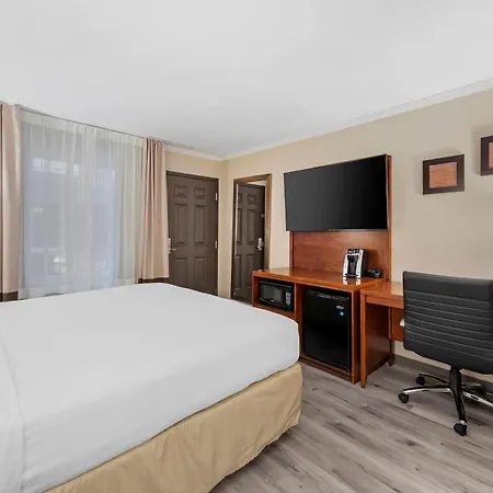 Comfort Inn Santa Monica - West Los Angeles-3