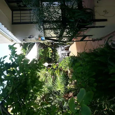 B&B Mare E Sole-3