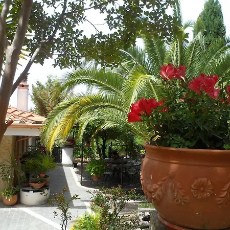 Bed And Breakfast El Dueno-3