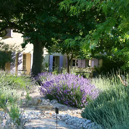 Couleur Lavande-2
