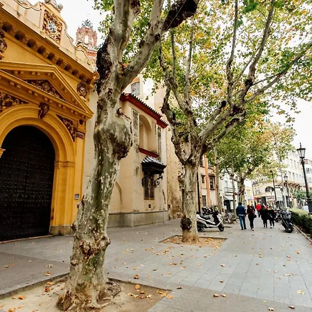 Casa Patio Del Siglo XIX-3
