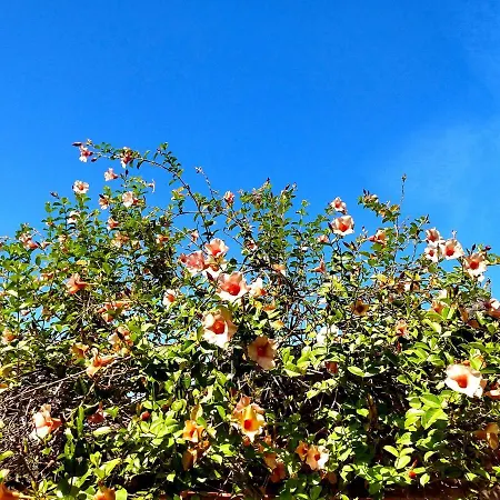 Pousada Mandala-2