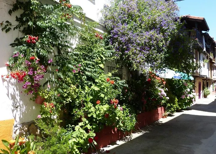 Perros hoteles Hostal Candeleda
