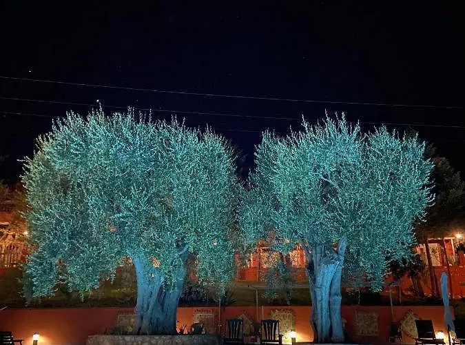 Resort Poggio Degli Ulivi