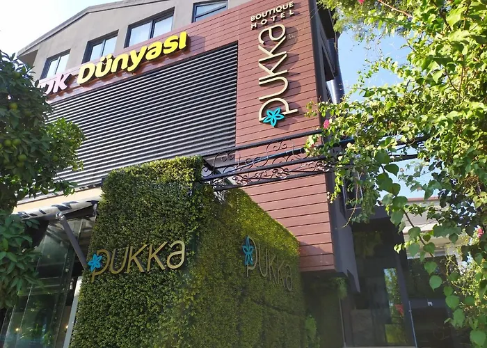 Pukka