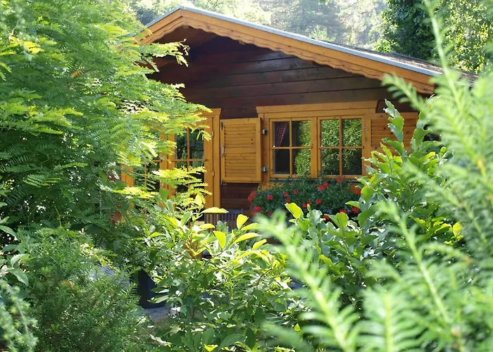 B&B: Bed En - of zonder - Breakfast Putten