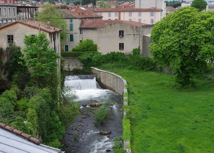 les camélias