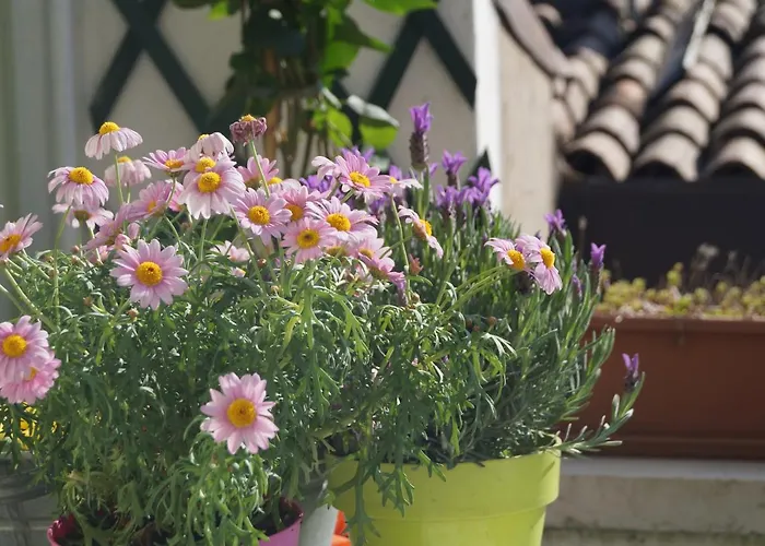 Albergo economico: In The Heart Of Verona