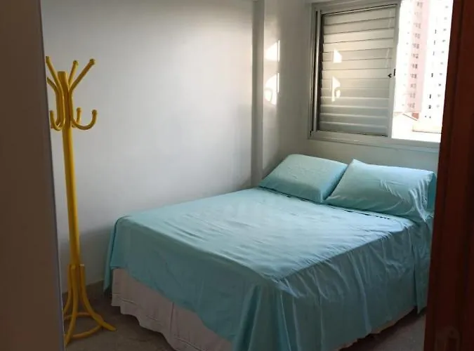  setor bueno