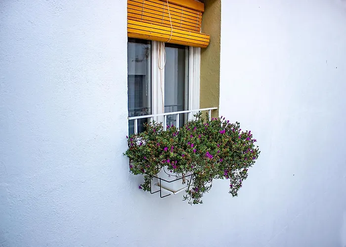  Blue Sardine Hostal Boutique Altea (Adults Only)