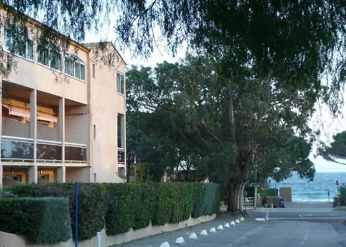 Les Eucalyptus