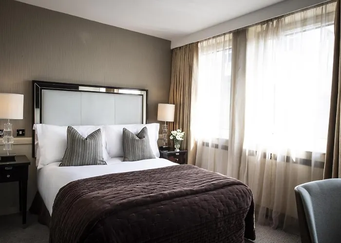 Hôtel accueillant les animaux: The Bristol Hotel