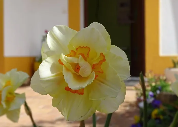  Mira Vila By Stay In Alentejo For Hikers