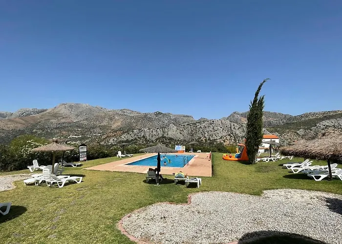 Cedro Alto