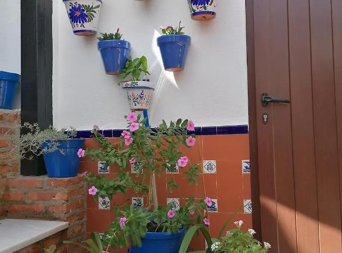 Hotel que admite mascotas: Casa Rural Patio Rociero
