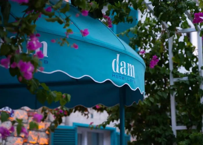 Hotels Close to Airport Dam Lara
