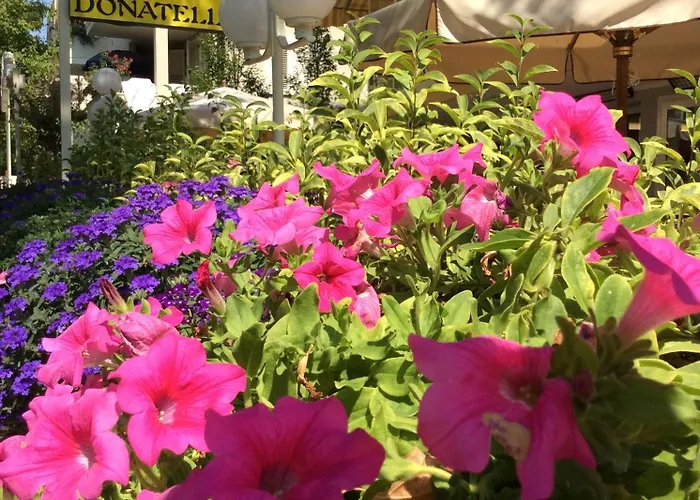 Hotel Donatello Cesenatico