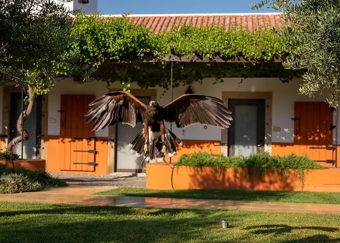 Vila Gale Collection Alter Real - Resort Equestre, Conference & Spa