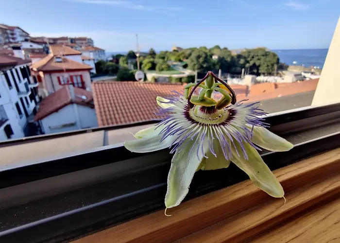 Apartamentos Mundaka Surf Plaza