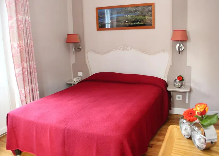 Hôtel accueillant les animaux: Hôtel Majestic