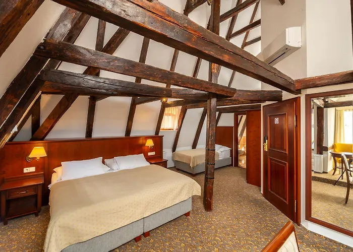 In Luxury hotels Cerny Slon