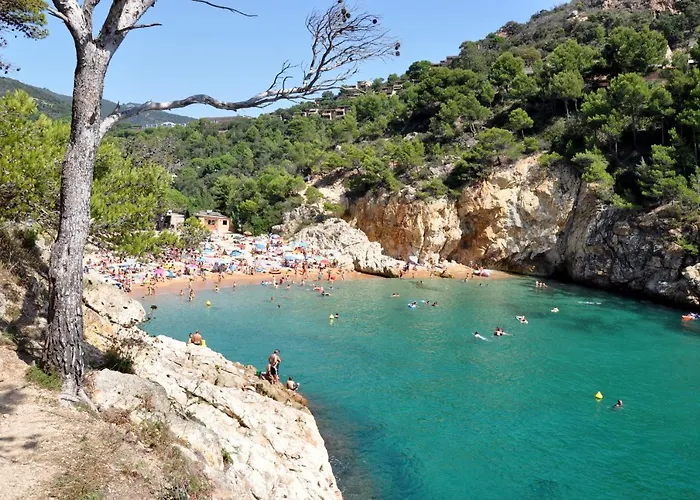 Camping: Pola Giverola Camp