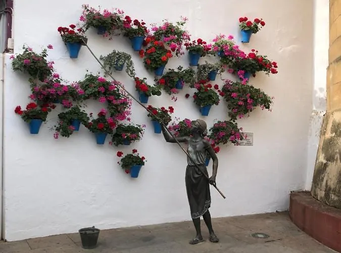  La Regaora