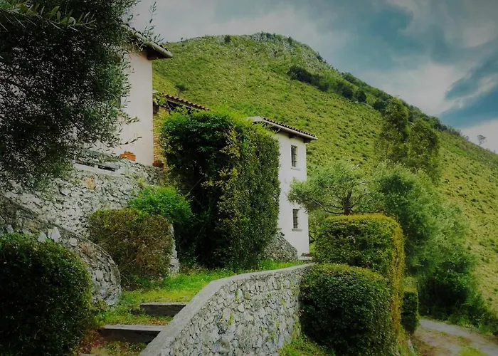 Hotel adatto agli animali: Agriturismo Nappi - Azienda Agricola Piano delle Vigne
