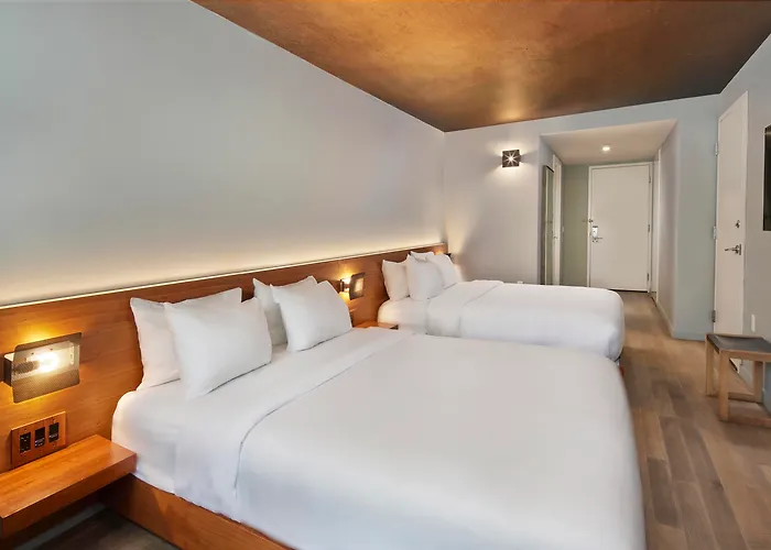 Hotel per sciatori: Truss Hotel Times Square