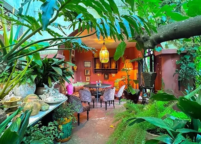 Hôtel accueillant les animaux: Aux 3 Portes