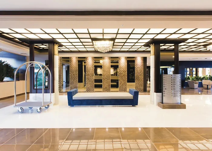 Hotel: Hotel Riu Bravo