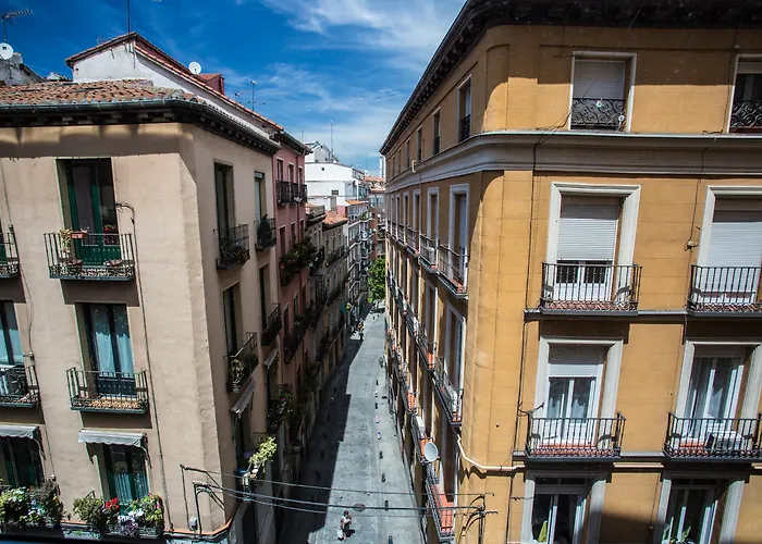 Hotel central: Petit Palace Plaza Mayor